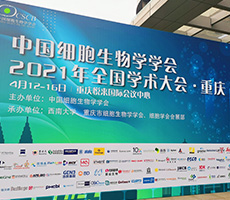 2021年重慶展會(huì)圓滿(mǎn)收官