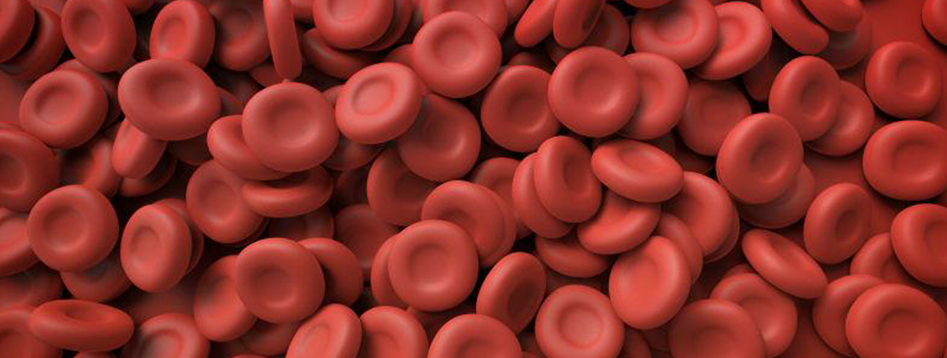 圖像法自動化的血小板計數(shù)