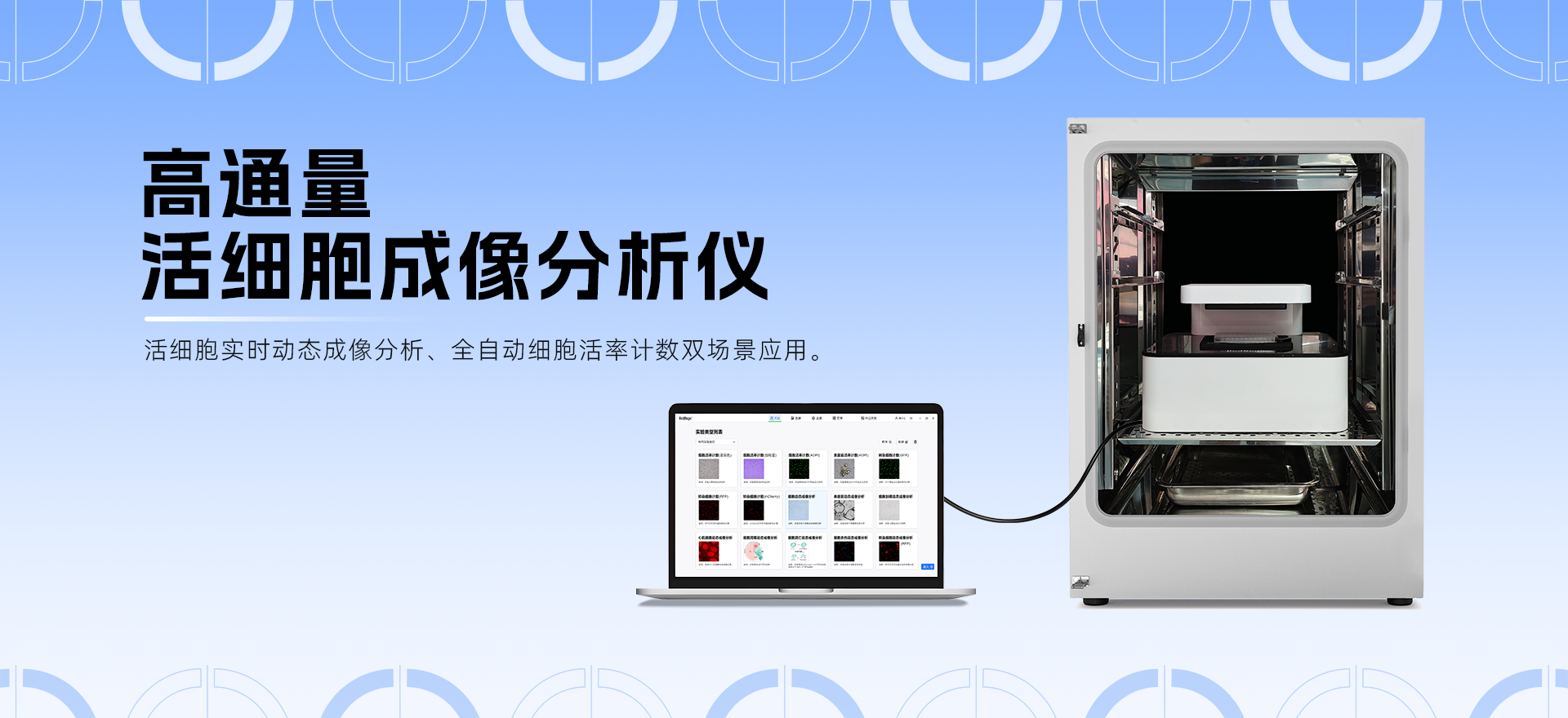 高通量活細胞成像分析技術在病毒空斑實驗中的應用