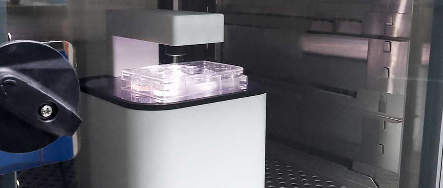 活細胞成像分析儀選購指南